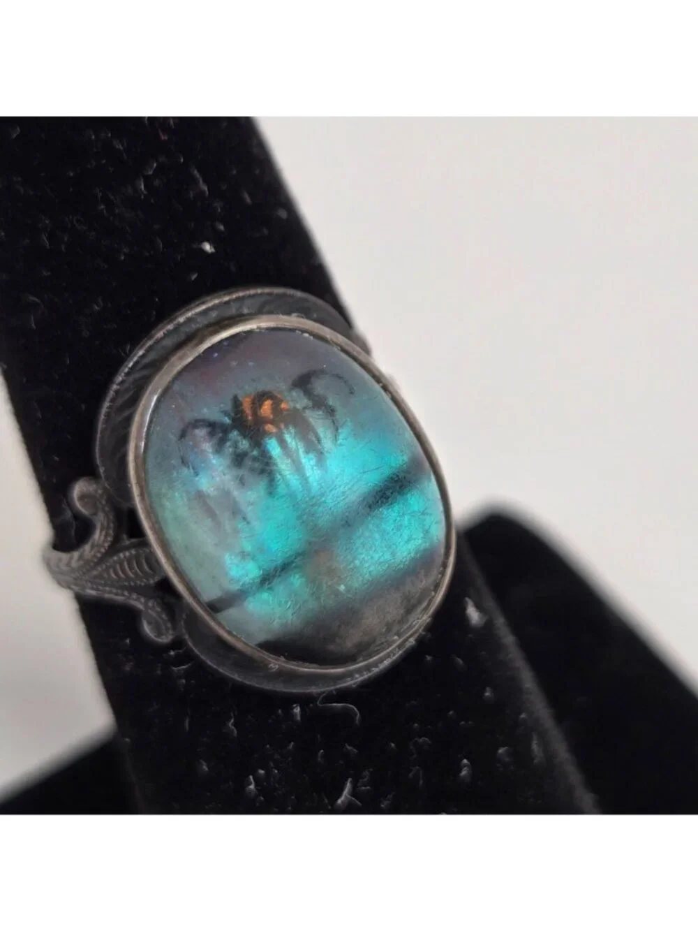 Vintage Art Deco Hoffman Blue Morpho Butterfly Wing Sterling Ring Size 6